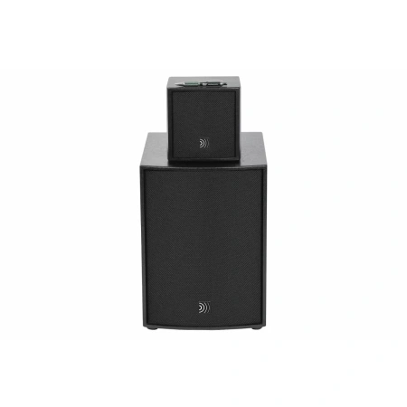 Купить DS Proaudio ANT по выгодной цене в Москве