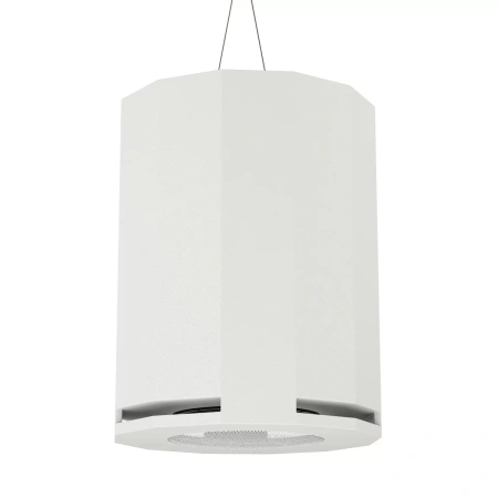 Купить CVGAUDIO SUBone model DH-8W/CR по выгодной цене в Москве