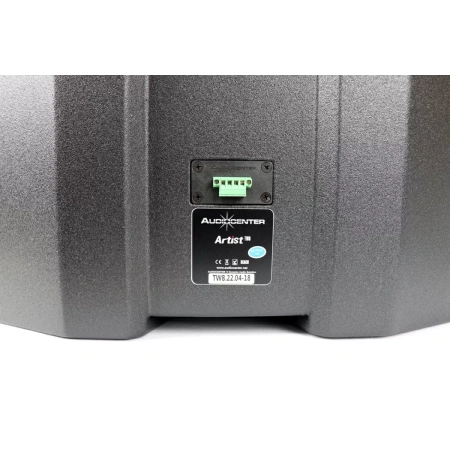Купить Audiocenter Artist TW8 по выгодной цене в Москве
