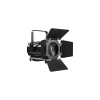 Купить LightCraft Fresnel 300 ZOOM CW+WW по выгодной цене в Москве