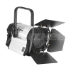 Купить ANZHEE PRO Spectrum Fresnel F 300 по выгодной цене в Москве