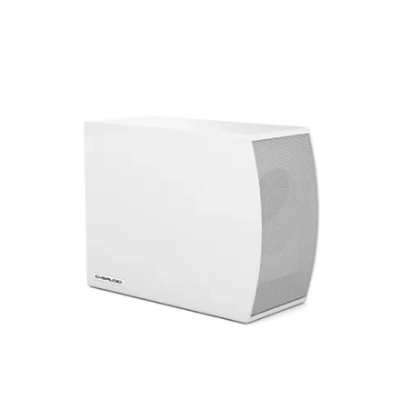 Купить CVGAUDIO SUBone model C-6W по выгодной цене в Москве