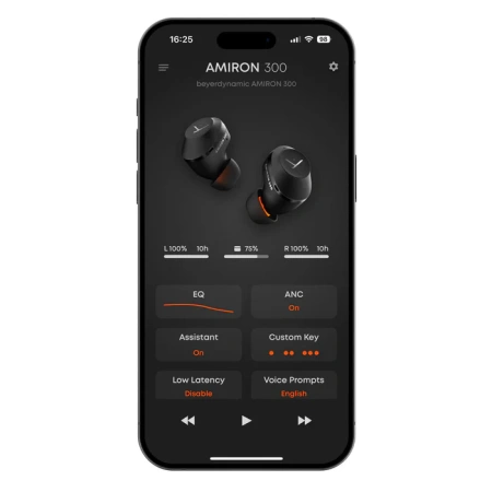 Купить Beyerdynamic Amiron 300 Black по выгодной цене в Москве